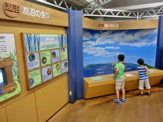 🐠 헤키난 해변 수족관 (헤키난카이힌스이조쿠칸) 이미지 4